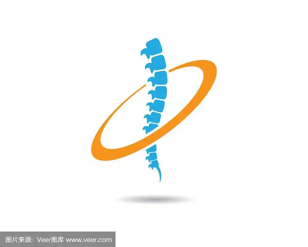 脊柱,图标,矢量,生物学,健康保健