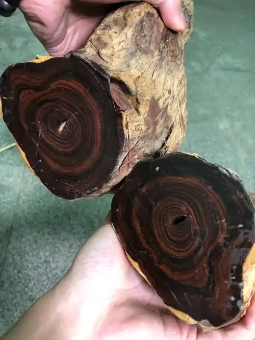 海南黄花梨老料紫油梨