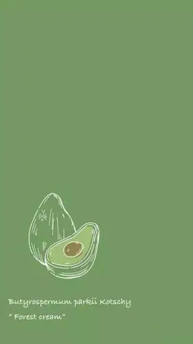 绿色系壁纸如果全世界都对你恶语相向我就对你说一世情话