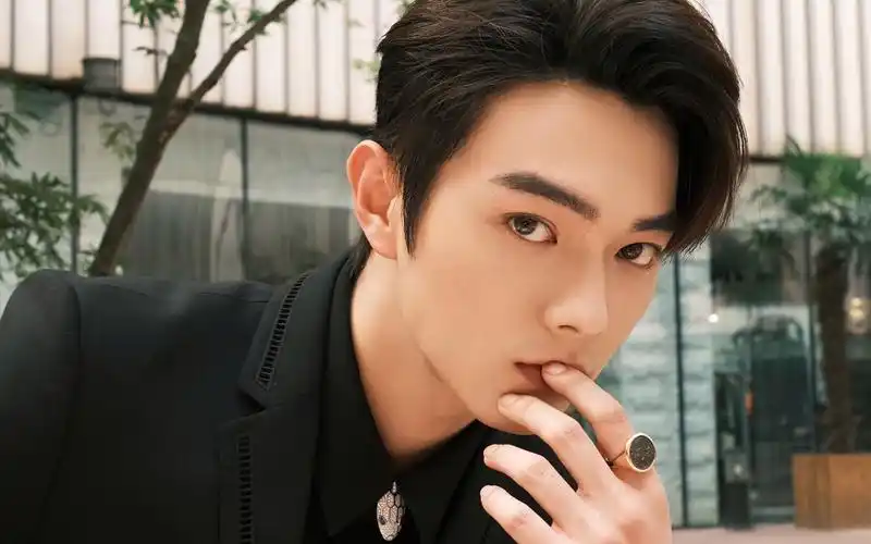 许凯真的是契合一切小说的男主角