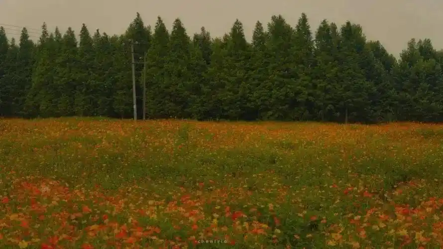 高级电脑壁纸,ipad也可以用