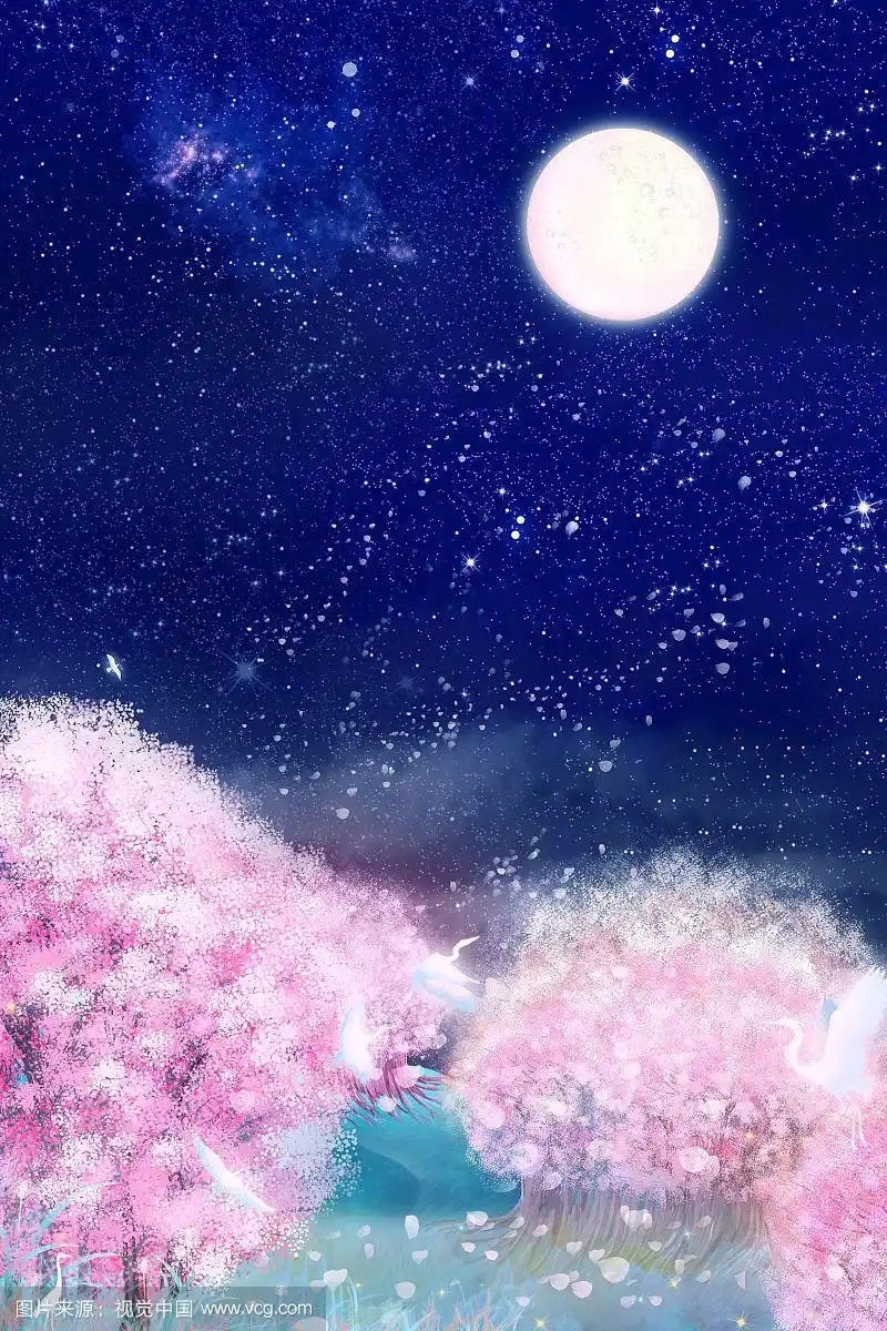 夜晚星空下樱花正盛开插画背景