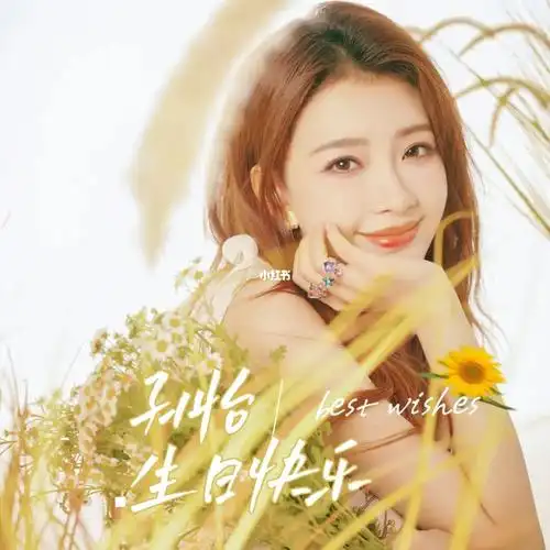 孙怡生日快乐