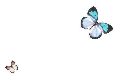 400_280gif 动态图 动图