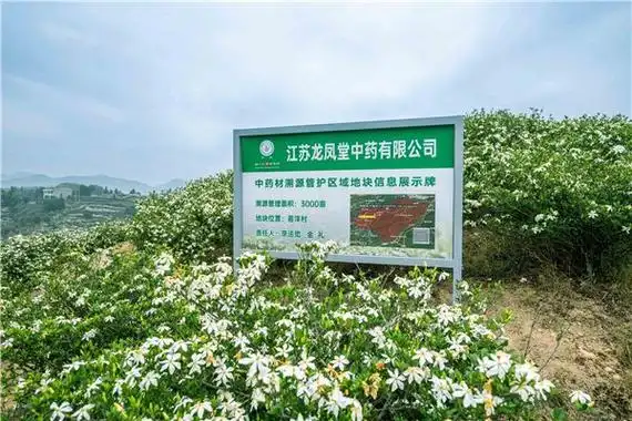 产业活水进家门扬子江药业集团送来乡村振兴致富经