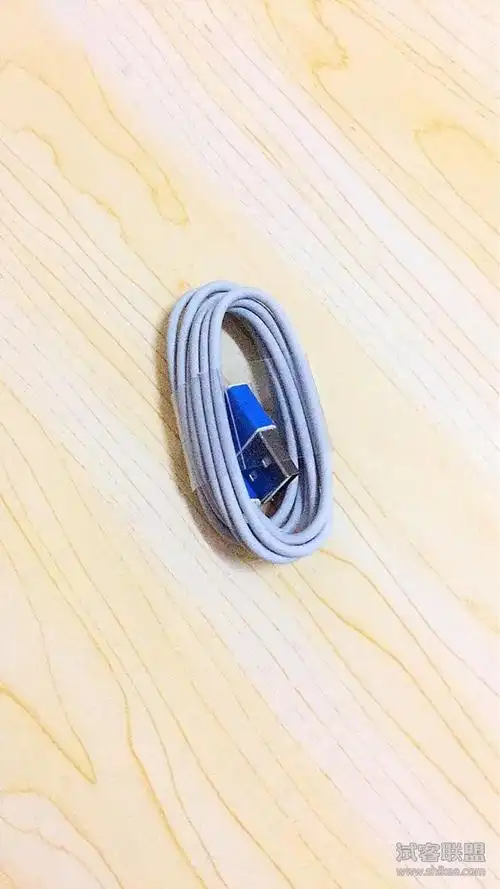 苹果耳机充电线头可用花呗信用20-然然的妈哟