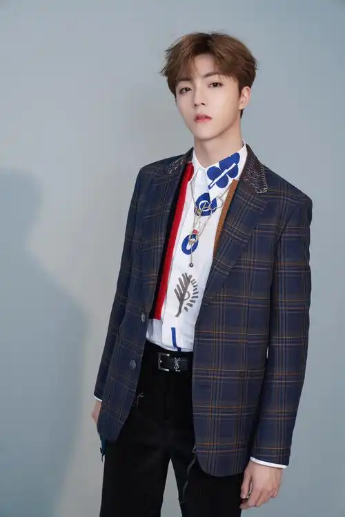 陈立农写真更新,格纹西装搭彩边马甲,率性阳光