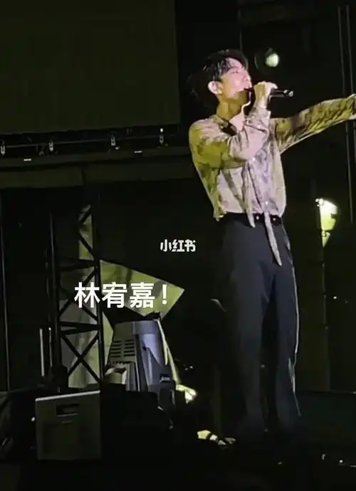 林宥嘉77孙燕姿77陶喆77苏打绿77韦礼安张艺兴演唱会十二月的