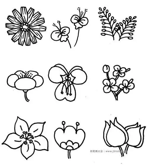 花朵简笔画简单又好看花朵简笔画简单又好看彩色盛开