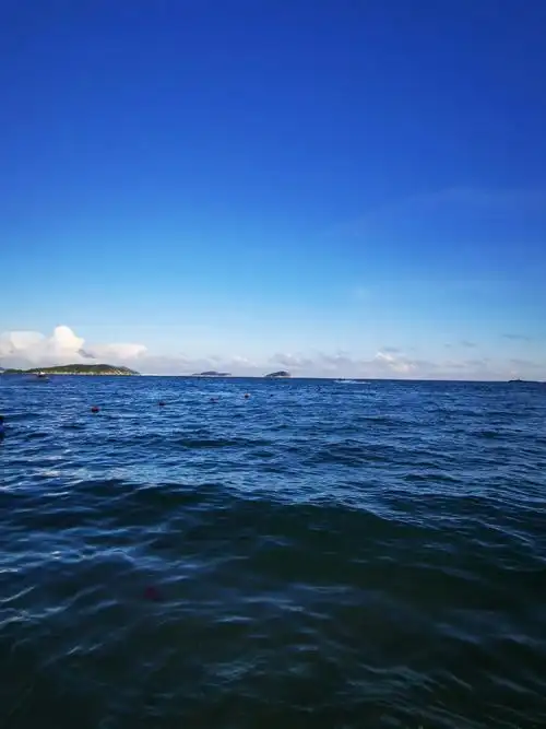阳光沙滩海浪 #面朝大海 ,大海燕鲁哥故地故海重游考察! - 抖音