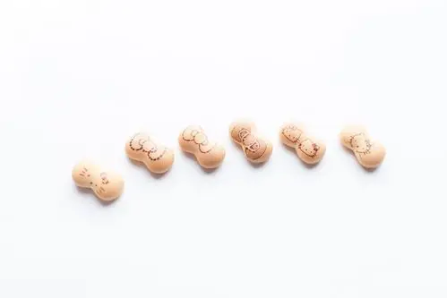 日本原装进口零食品 北陆 凯蒂饼干 50g hellokitty日系猫粮形状