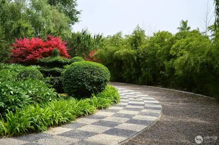 隋唐城遗址植物园花絮