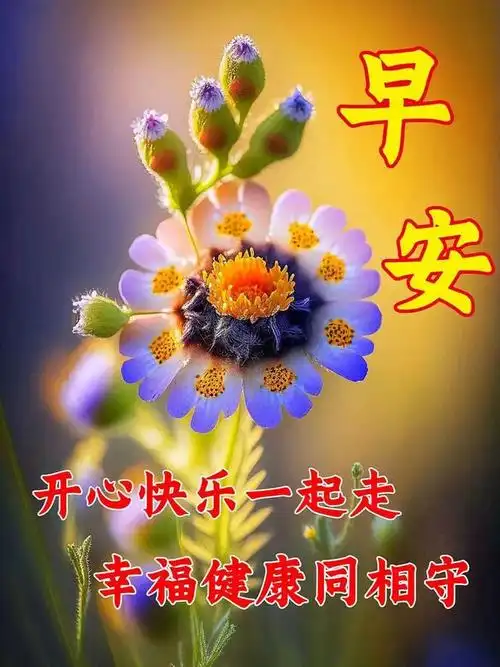 4月13日周四早上好最新温馨唯美祝福图片|快乐|清晨|幸福|早安_网易