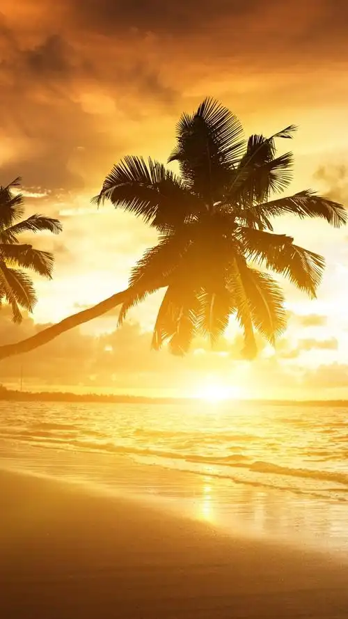 日出海滩风景秀丽,阳光照射 iphone 桌布