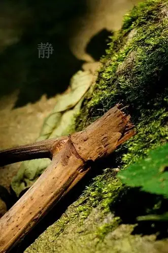 700_1057竖版 竖屏