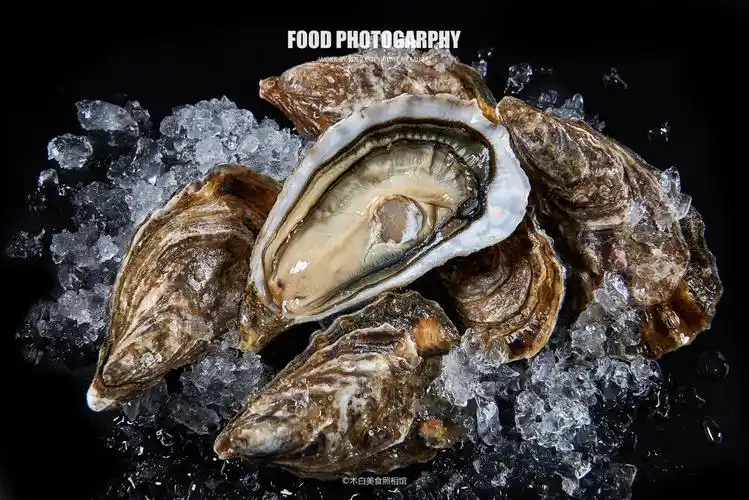 海产拍摄(刺身,海鲜,海产品,日料,美食摄影)