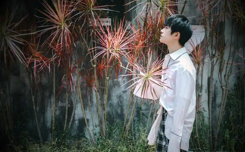 易烊千玺台湾小清新街拍图片