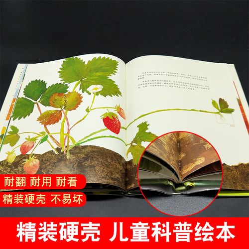 一粒种子的旅行绘本童书7-10-12岁小学生课外阅读书籍图画书儿童课外