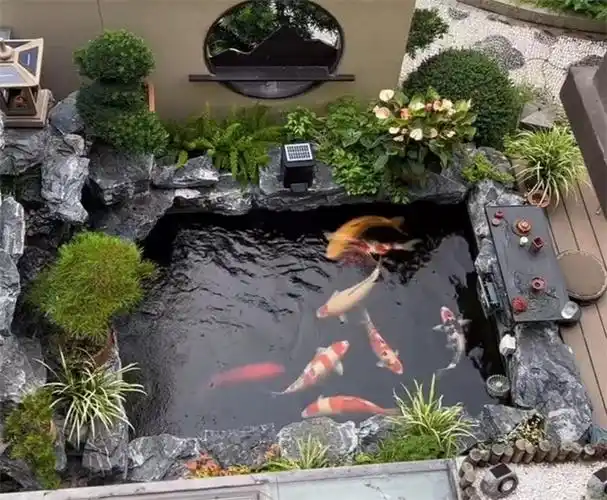 无锡假山设计制作|无锡鱼池过滤|改造|无锡水景设计|无锡别墅庭院天嘉