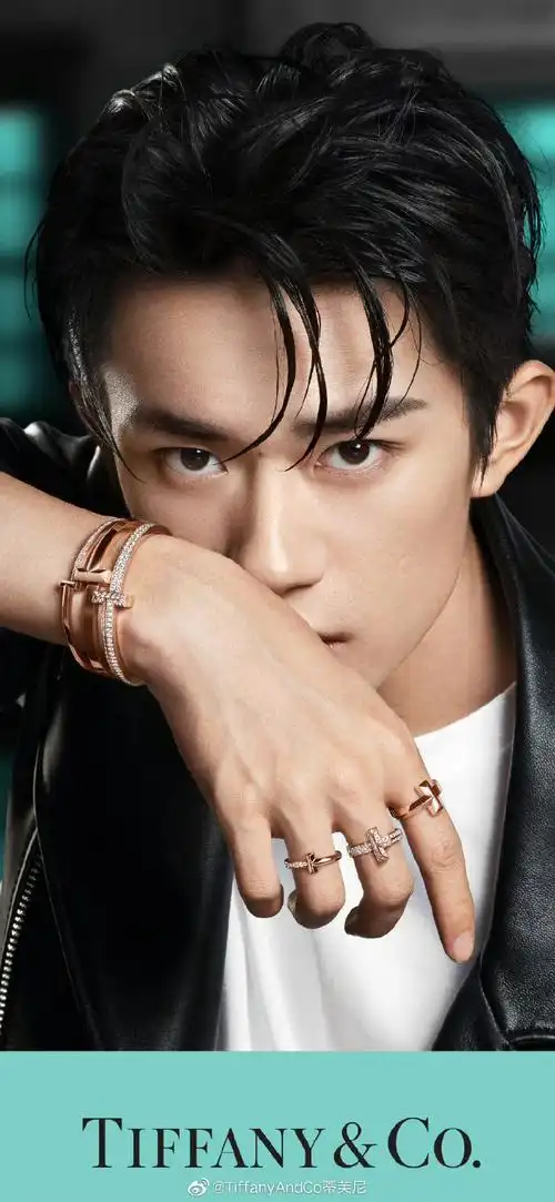 易烊千玺石上鸟胸针##易烊千玺蒂芙尼全球品牌代言人
