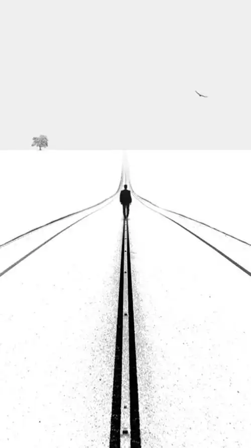 简约.黑白.背影.孤独