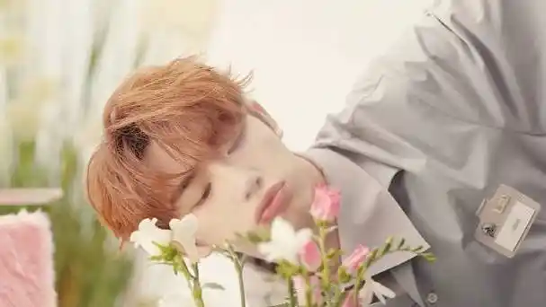 非我不可丁程鑫个人预告