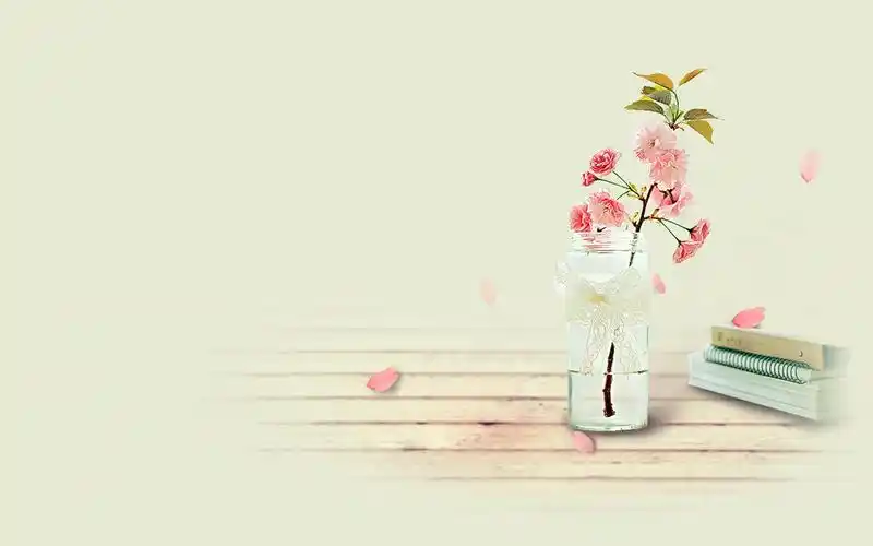 清新养眼的静物图片非常适合做壁纸哦~~给你的桌面换上干净护眼