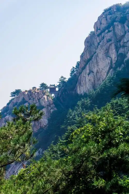 行走在泰山东路,观奇石,赏古松 - 美篇