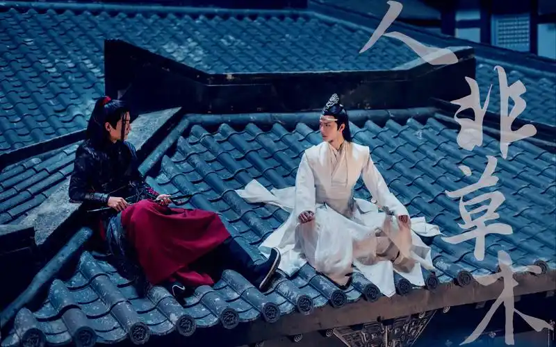 【陈情令/cql】【忘羡双视角切换】宁为他跌进红尘 做个有痛觉的人