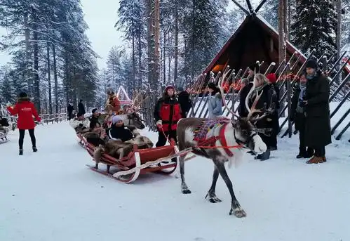 可爱的麋鹿拉雪橇.18欧拉你400m
