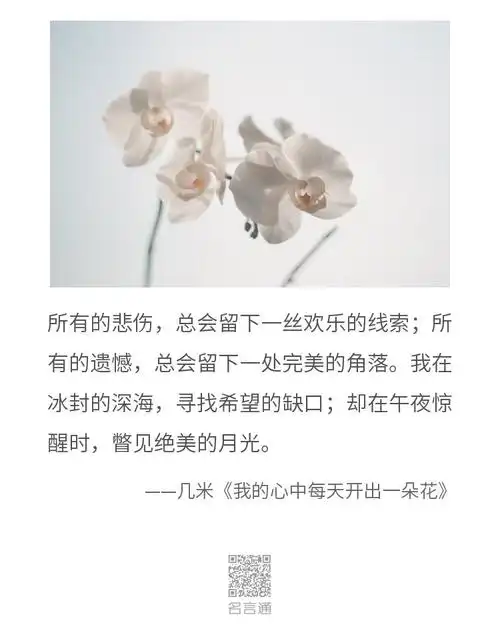 所有的悲伤,总会留下一丝欢乐的线索;所有的遗憾,总