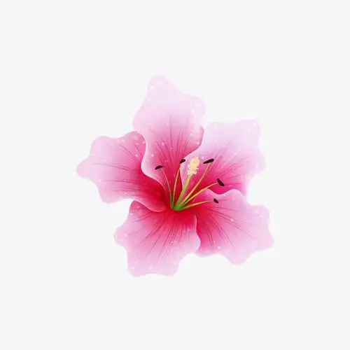 花png透明背景免扣素材-免抠素材免费下载_觅元素51yuansu.com