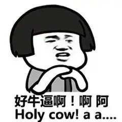 好牛逼啊!