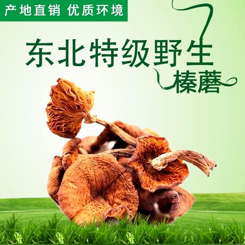 新货东北榛蘑特级野生榛蘑丁 干货特产 小鸡炖蘑菇400g包邮
