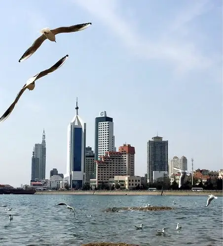 青岛的海边挺美的