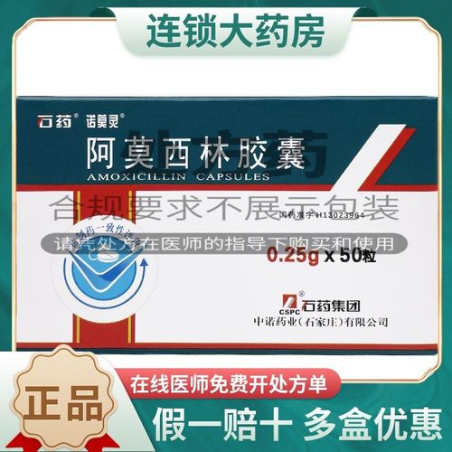 石药 阿莫西林胶囊 0.