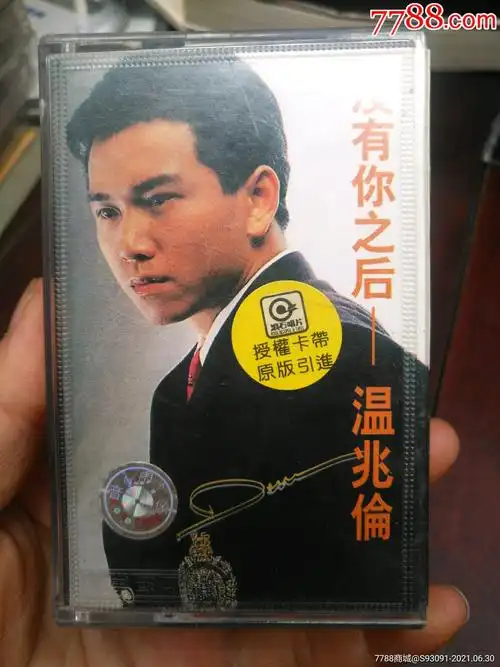 没有你之后-温兆伦-拍前看简介