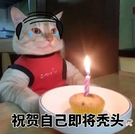 猫咪独自过生日系列【金馆长表情包】