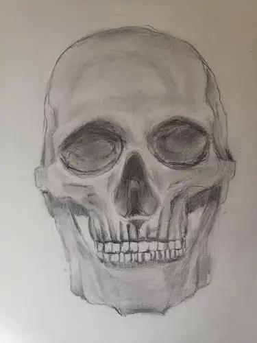 骷髅头000000|纯艺术|素描|tayloryy - 原创作品 - 站酷 (zcool