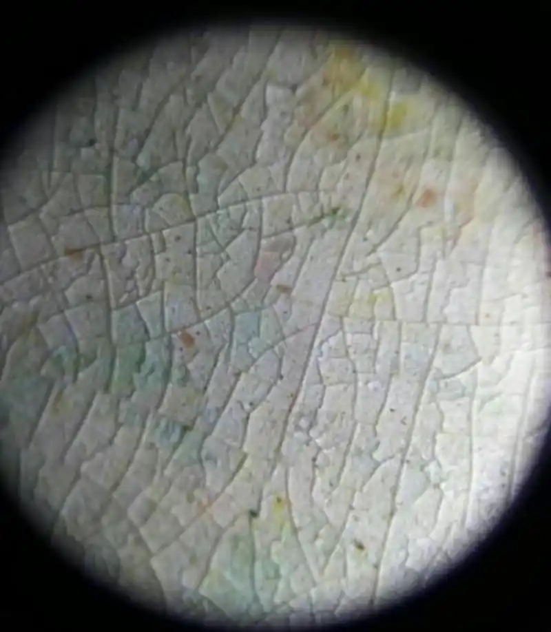 古瓷器鉴定:瓷器气泡鉴别方法及现代仿古瓷器气泡特征