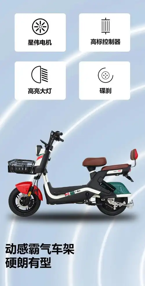 大阳成人国标电动自行车dr7颜色详询客服