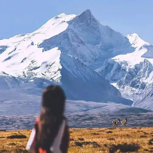 看一眼就想换的背影头像