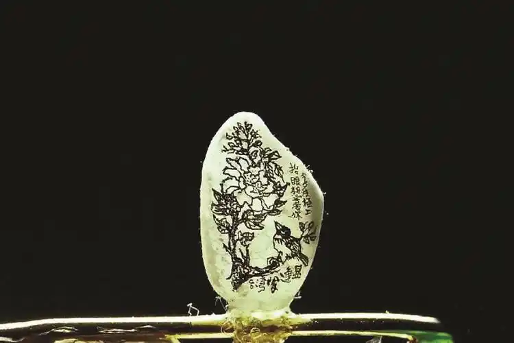 这是6月7日在陈逢显毫芒雕刻馆拍摄的在大米粒上创作的花鸟书画作品.