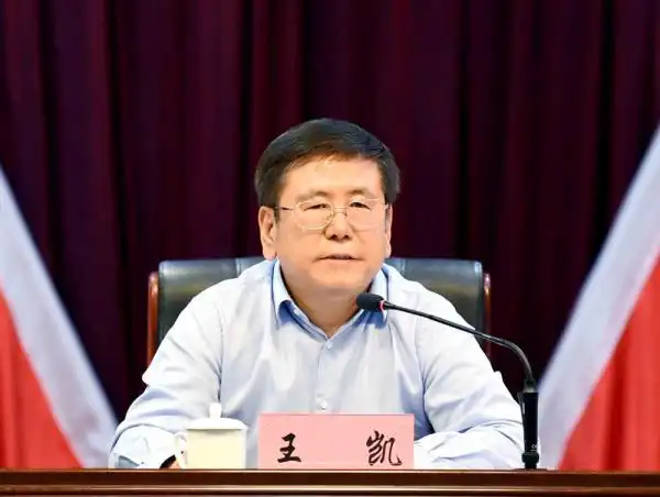 王凯:全方位推进融合对接,进一步强化责任担当,为加快长春现代化都市