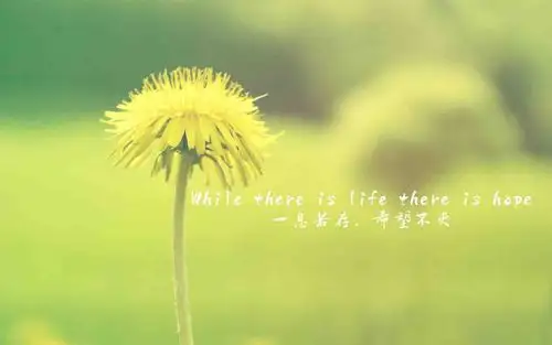 励志文字高清桌面壁纸