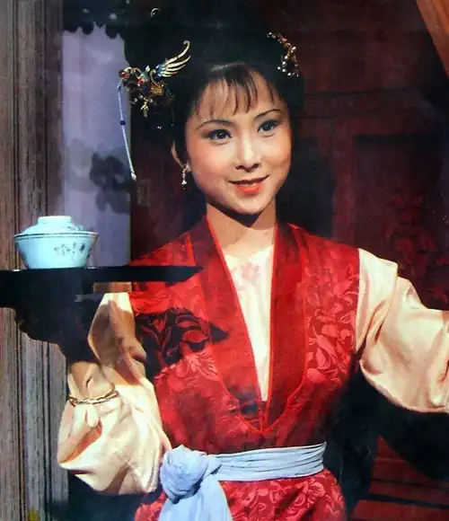 红楼梦:袭人没有告密,晴雯等人被赶出大观园和她无关_王夫人_贾宝玉