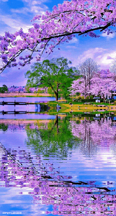 哇塞,人间仙境!