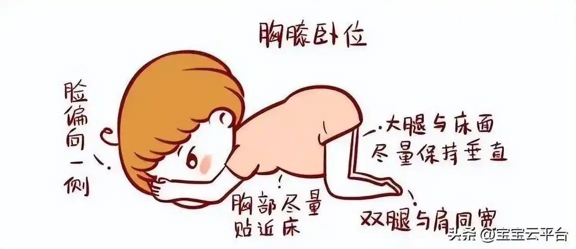 关于胎儿臀位,孕妈妈要提前了解这些知识点_宝宝_脐带_胎位