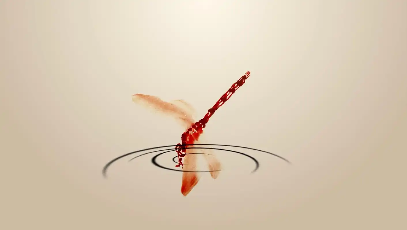 蜻蜓点水古风水墨中国传统文化片头mp4特效视频素材-92素材网