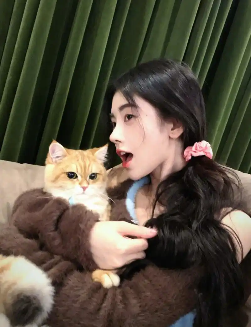 鞠婧祎是一个爱猫的女神,侧面反映出,她在生活中,一定也是一个很有